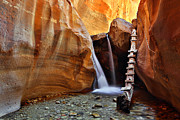Kanarra Creek Climb Photograph by Bill Singleton