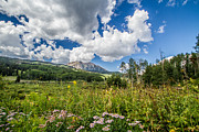 Kebler Pass Meadow Photograph by Jeff Stoddart Kebler Pass Meadow Photograph by Jeff Stoddart