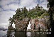 Kenai Fjords Photograph by Ron Sanford