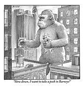 King Kong Stands In A Large City Drawing by Harry Bliss