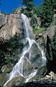 Kings Canyon National Park Photograph by Gregory G. Dimijian, M.D. Kings Canyon National Park Photograph by Gregory G. Dimijian, M.D.