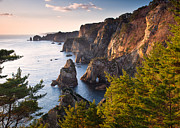 Kitayamazaki Dawn Photograph by Brad Brizek
