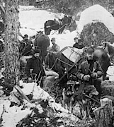 Klondike Stampede, 1897 Photograph by Granger