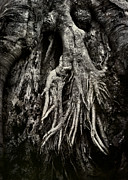 Kneeling at the Feet of the Green Man Photograph by Rebecca Sherman