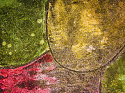 Laid Back Photograph by Penny Lisowski Laid Back Photograph by Penny Lisowski