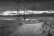 Lake Michigan Beach at Sunset in Black and White Photograph by Randall Nyhof Lake Michigan Beach at Sunset in Black and White Photograph by Randall Nyhof