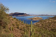 Lake Pleasant Saguaro Photograph by R B Harper