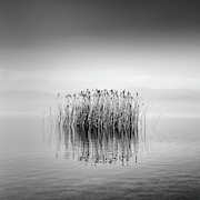 Lake Reflections Photograph by George Digalakis