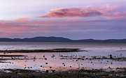 Lake Tahoe Sunset Photograph by Mel Ashar