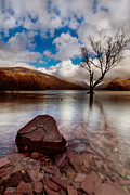 Lake Tree and Rock still Photograph by B Cash