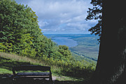 Lake Vista Photograph by William Norton Lake Vista Photograph by William Norton