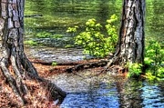 Land Bridge Digital Art by Daniel Eskridge