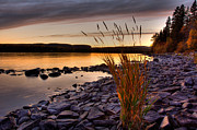Last Daylight Photograph by Jakub Sisak