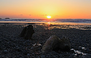 Last light Photograph by Kim Mobley