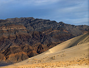 Late Afternoon on the Last Chance Range Photograph by Joe Schofield
