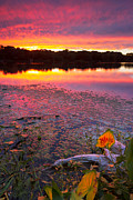 Late Summer Sunset Photograph by Bryan Bzdula