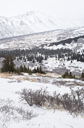 Late Winter Storm Photograph by Tim Newton