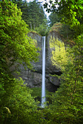 Latourell Falls Photograph by Jon Ares