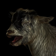 Laughing Goat - 0312 F Digital Art by James Ahn