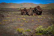 Lava Rock Photograph by Carla E