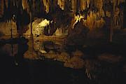 Lehman Caves Photograph by Richard W Brooks