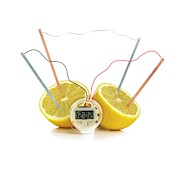 Lemon Clock Photograph by Science Photo Library