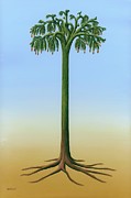 Lepidodendron Carboniferous Plant Photograph by Science Photo Library
