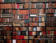 Library Photograph by Tierbild Okapia