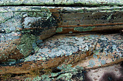 Lichen on the Rocks-1 Photograph by Patrick Boening