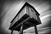 LightShed Photograph by Alexis Birkill