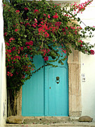 Lion Knocker Door Photograph by Donna Corless