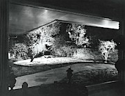 Lit Garden Photograph by William Grigsby
