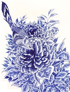 Little Curiosity Drawing by Alice Chen