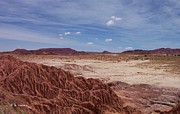 Little Painted Desert Photograph by R B Harper