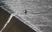 Living Life on the Edge Photograph by Veronica Batterson