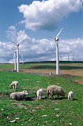 Llandinam Wind Farm Photograph by Science Photo Library
