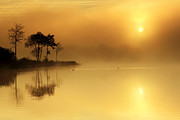 Loch Ard morning glow Photograph by Grant Glendinning Loch Ard morning glow Photograph by Grant Glendinning