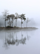 Loch Ard trees in the mist Photograph by Grant Glendinning Loch Ard trees in the mist Photograph by Grant Glendinning