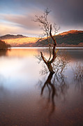 Loch Lomond Tree Photograph by Grant Glendinning Loch Lomond Tree Photograph by Grant Glendinning