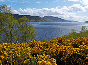 Loch Ness - Springtime Photograph by Phil Banks