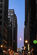 Locust Moon Photograph by Philly Photos