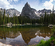 Lone Eagle Afternoon Photograph by Aaron Spong