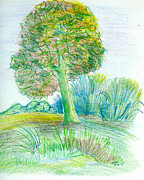 Lone Tree Mixed Media by Ruth Dailey