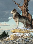 Lone Wolf Digital Art by Daniel Eskridge Lone Wolf Digital Art by Daniel Eskridge