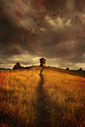 Lonely house on the hill Photograph by Jaroslaw Blaminsky