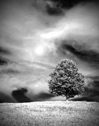 Lonely Photograph by Rory Siegel