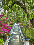 Long White Bridge Photograph by Bill Barber