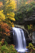 Looking Glass Falls in North Carolina Photograph by Jill Lang