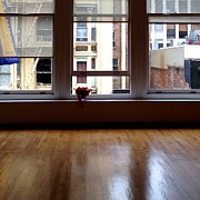 Looking Out Photograph by Julie Gebhardt