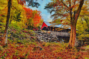 Looking up at the Flume Gorge covered bridge Photograph by Jeff Folger